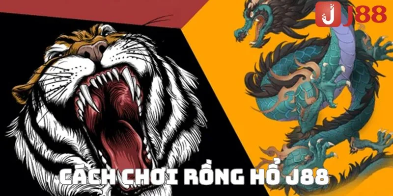Hướng dẫn cách chơi rồng hổ J88 với nhiều cửa cược. 