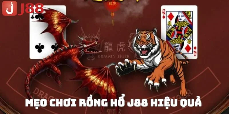 Tổng hợp các mẹo chơi rồng hổ J88 thắng đậm cho bet thủ. 